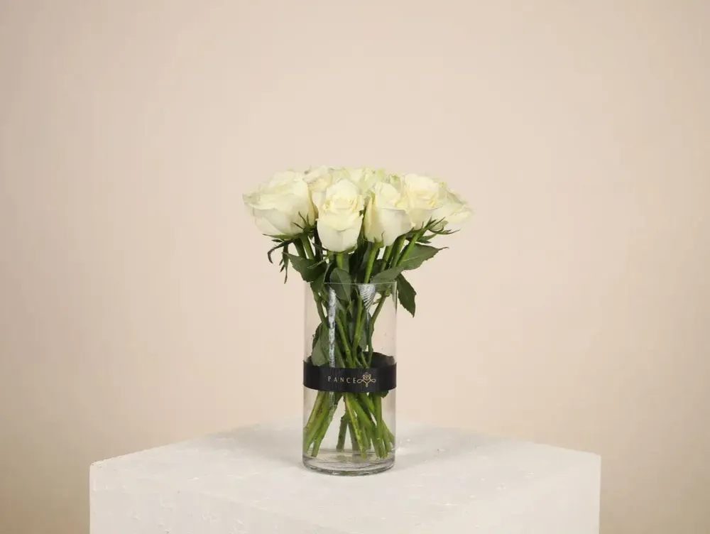 White Purity