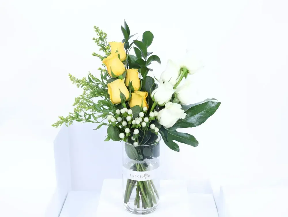 Elegant Roses