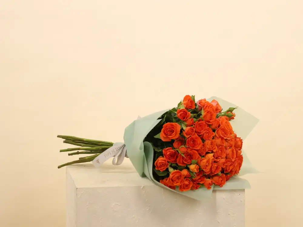 Beautiful Orange