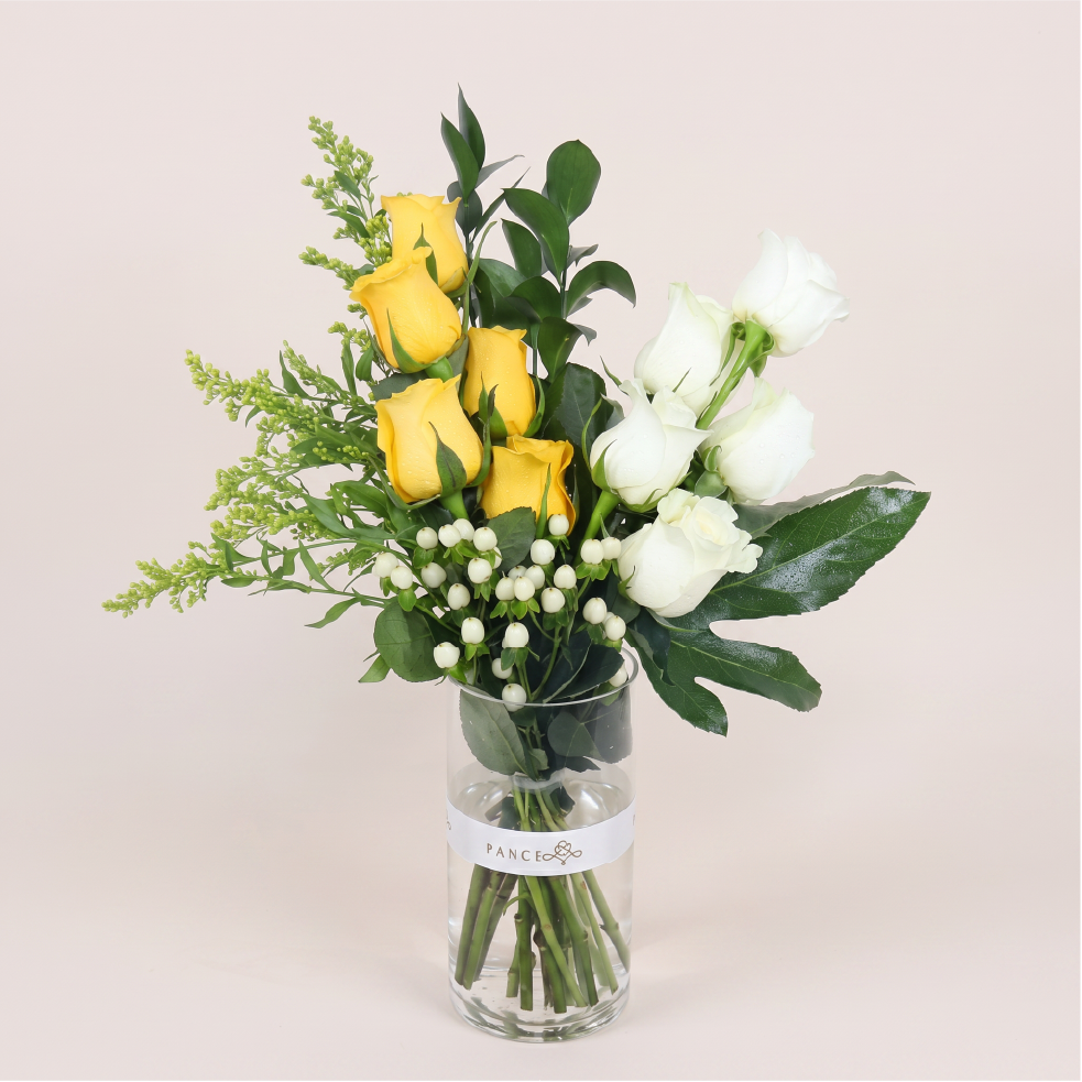 Elegant Roses