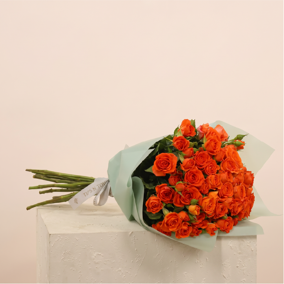 Beautiful Orange
